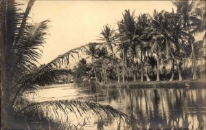 Scenic View Possibly Unidentified Hawaii HI c1920 Real Photo Postcard #1