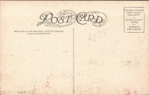 Vtg 1910's Giant Palisade On Moffat Road Colorado CO Antique Postcard