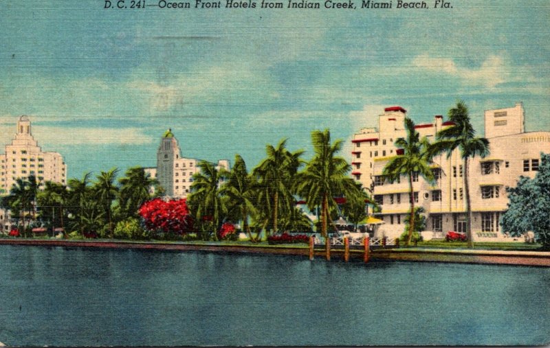 Florida Miami Beach Ocean Front Hotels From Indian Creek 1959 Curteich