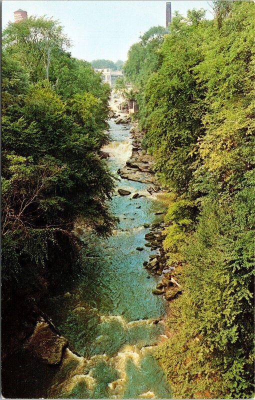 View River Gorge Looking N Glens Bridge Postcard VTG UNP Dexter Vintage Unused 