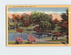 Postcard Scene in Cadwalader Park Trenton New Jersey USA