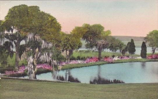 Middleton Place Gardens Charleston South Carolina Handcolored Albertype