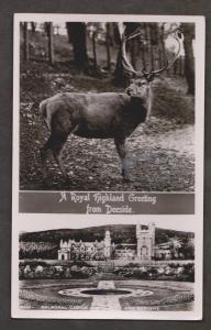 Balmoral Castle & Stag Real Photo - Unused