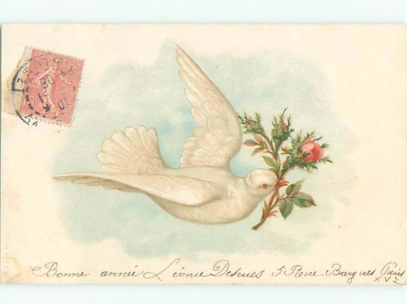 foreign Pre-1907 Postcard LARGE WHITE DOVE BIRD CARRIES ROSE FLOWER AC2294