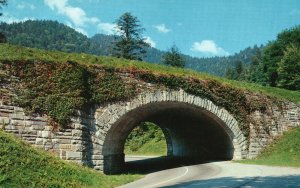 Vintage Postcard The Loop Underpass Transmountain Great Smoky Mountains Park