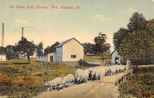 Hershey Pennsylvania Hershey Park Sheep Fold Vintage Postcard CC4152