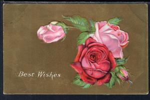 Best Wishes Roses BIN