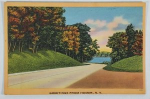 NY Greetings from Homer N.Y. Scenic New York Postcard O9