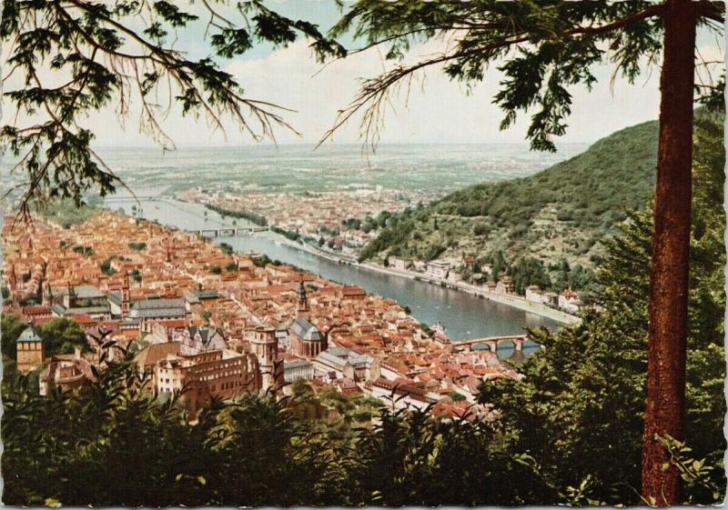 Heidelberg Blick vom Rinderhauschen Germany UNUSED Postcard D91