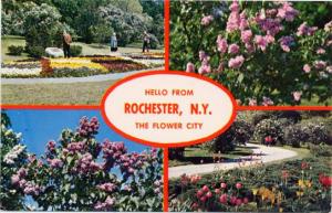 Greetings - Hello from Rochester, New York - Highland Park Lilacs