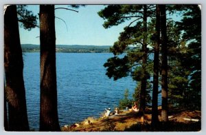 Picnic At Fairy Lake, Huntsville, Muskoka, Ontario, Canada, Vintage Postcard