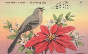 Vintage Postcard State Bird In Florida Poinsettia Flowering Plant Mocking Bird