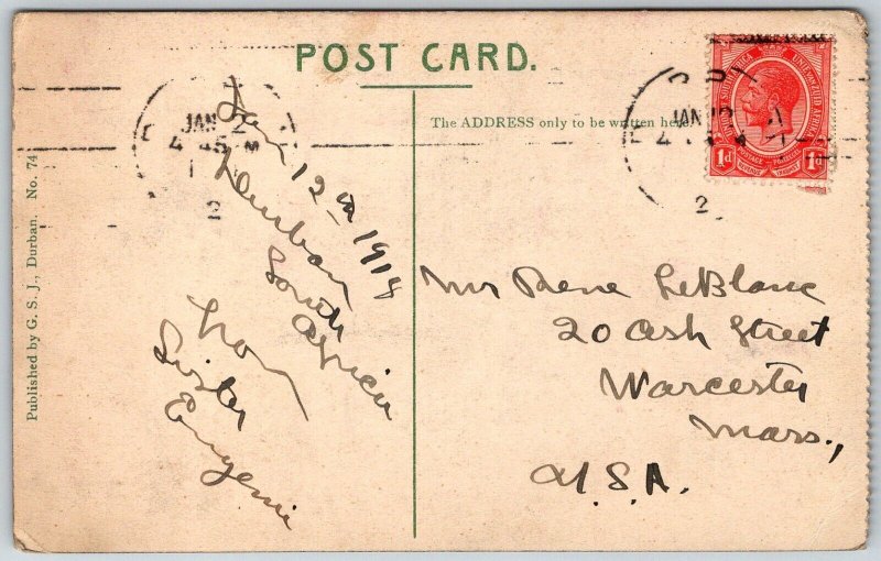 Durban South Africa 1914 Postcard Town Gardens Posted To USA