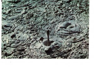 Mud Pools, Rotorua, New Zealand