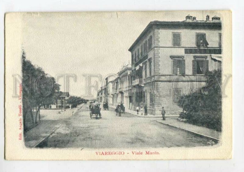 3113971 Italy VIAREGGIO Viale Manin Street Vintage postcard
