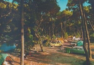 Alger Algerian Casino Italy Antique Postcard