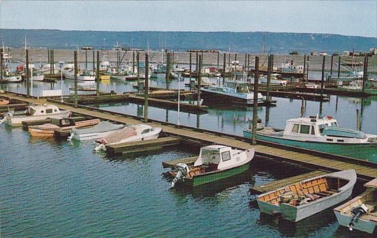 Alaska Homer New Boat Harbor On The Homer Spit