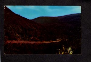 NY Clove Rip Van Winkle Trail, Catskill Mts Mountains New York Postcard