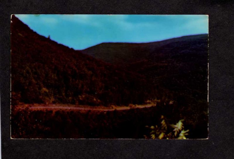 NY Clove Rip Van Winkle Trail, Catskill Mts Mountains New York Postcard