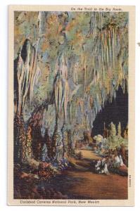 Carlsbad Caverns Big Room New Mexico Curteich Linen Postcard
