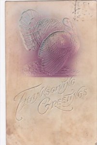 Thanksgiving With Turkey 1907 Embossed