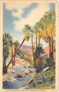 Lot112 usa california  in palm canyon near palm springs