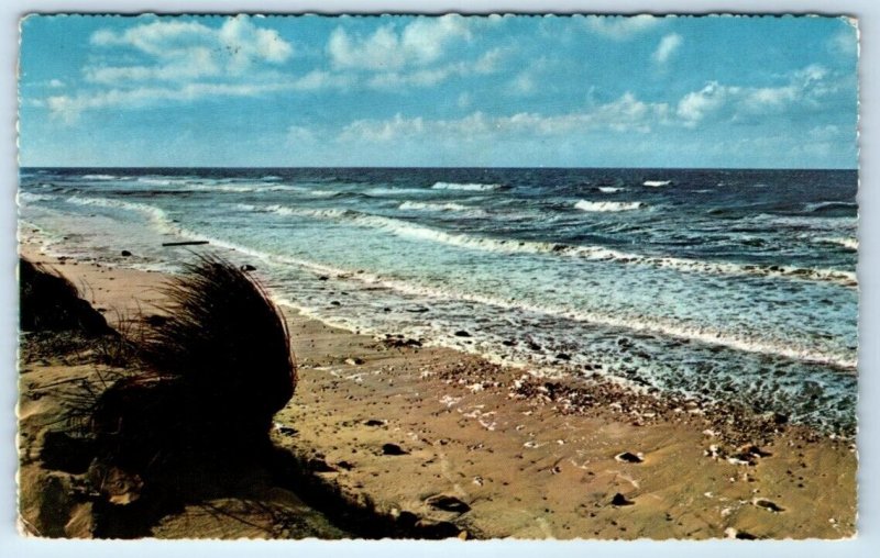 EGMOND aan ZEE Holland Netherlands Postcard