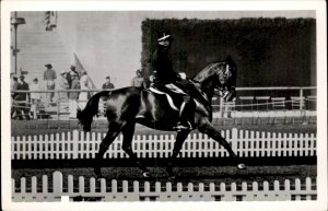 Berlin Olympics Norwegan Horse Jaspis Rider A Qvist Real Photo Vintage Postcard