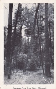 Minnesota Greetings From Deer River Forest Scene 1949 Real Photo