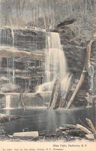 Parkston New York Glen Falls Scenic View Antique Postcard J56747