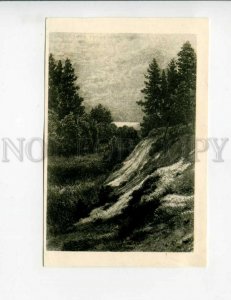 3155140 Russia Petersburg SESTRORETSK by SHISHKIN vintage PC