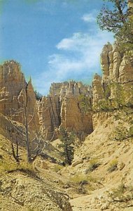 View in battle and national monument  Badlands SD 