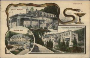 Schlangenbad Hesse Germany SNAKE BORDER c1910 Used Postcard