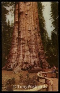 Sequoia National Park