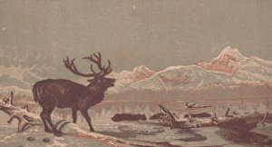 1880-90's Elk Next To Stream Mountains in Background Trade Card