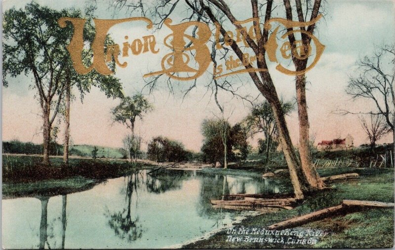 Meduxnekeag River NB New Brunswick Union Blend Tea Advertising Postcard H35 