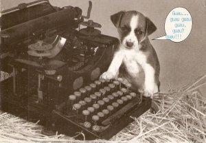 Dog and the typewriter. Guau... Modern Spanish photo postcard