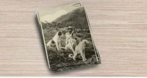 Single (1), Reproduction Vintage Postcard, Mexican Man w/Dogs Mountains in Sepia
