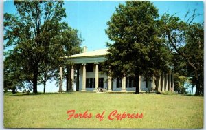 Postcard - The Forks Of Cypress - Florence, Alabama