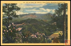 Mt. Le Conte, Great Smoky Mountains National Park