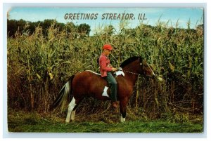 Greetings Streator Illinois IL, Vacationland Scene Boy Horse Riding Postcard