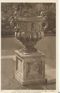 Middlesex Postcard - Hampton Court Palace - Lead Vase on South Terrace Ref 8043A