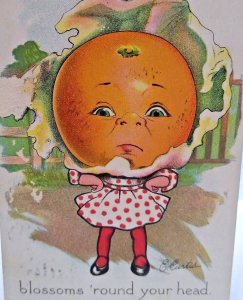 Fantasy Postcard Tuck E Curtis Orange Face Anthropomorphic Girl Series 2 1908