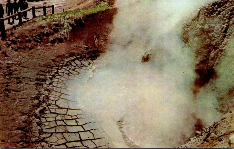 Yellowstone National Park Mud Volcano