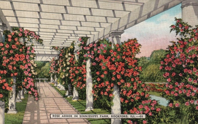 Vintage Postcard Rose Arbor In Sinnissippi Park Rockford Illinois Rockford Whole