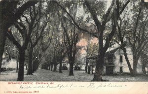 HERMITAGE AVENUE SAVANNAH GEORGIA BLACK AMERICANA POSTCARD (c. 1907)