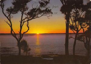 BR101973 greetings from forster nsw by night sunrise   australia