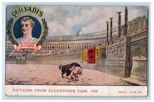 1908 Souvenir From Allentown Fair Bull Fighting Allentown PA Antique Postcard