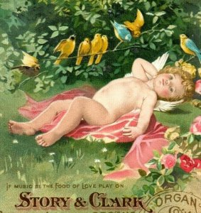 1880's-90's Story & Clark Chicago-London Organs Cherubs & Birds Piano 7G