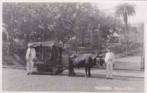 Portugal Madeira Carro de Bois Ox Cart Photo